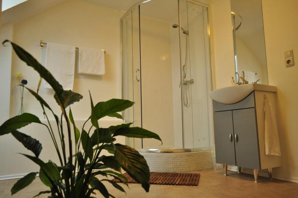 Haus Panorama Hotel Passau Habitación foto